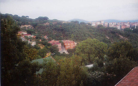 View of Istanbul, Turkey (Turkiye)